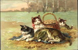 Four cats and a basket Postcard