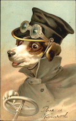 Driving Dog with Cap and Glasses Dogs Postcard Postcard