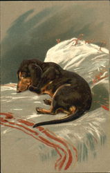 Napping Dachshund Postcard