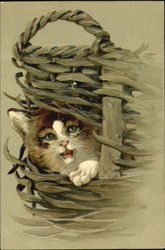 Kitten Escaping Basket Postcard