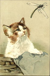 A Kitten and a Dragonfly Postcard