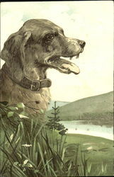 Dog by Lake Dogs Postcard Postcard