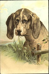 Dog with Fence and Field Dogs Postcard Postcard