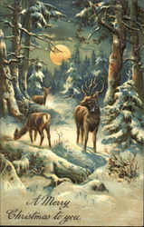 Snowy Forest Scene with Deer Christmas Postcard Postcard