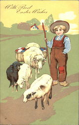 Small boy tending sheep With Lambs Postcard Postcard