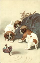 Puppies playing with top Postcard