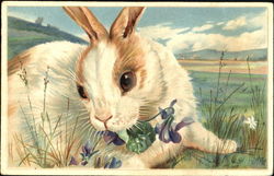 Bunny With Flowers With Bunnies Postcard Postcard