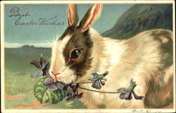 rabbit with flowers With Bunnies Postcard Postcard