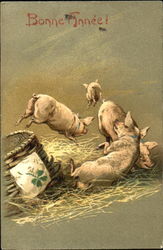 pigs frolicing on a bed of straw Postcard