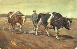 Man Plowing With Oxen Postcard