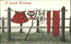 A Scotch Washing` Postcard