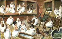 Babies "Hatching" From Eggs Postcard