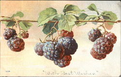 With Best Wishes Fruit Postcard Postcard