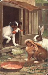 Dog and Two Bunnies Tuck's Oilette Series Postcard Postcard