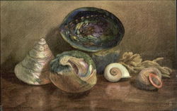 Lovely Seashells on a Table Tuck's Oilette Series Postcard Postcard