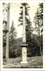 Totem In Park Ketchikan, AK Postcard Postcard