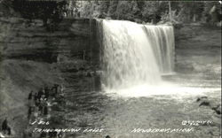 Tahquamenon Falls Newberry, MI Postcard Postcard