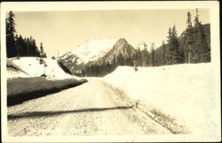 Wintry Mountain Scene Postcard