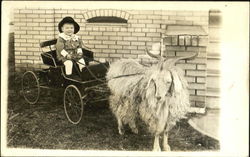 Boy riding cart pulled by long-haired goat Postcard