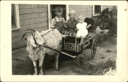 Three children with a Goat Wagon Goats Postcard Postcard