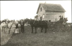 Horse and Carriage in front of small home Postcard