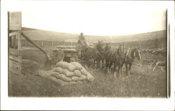 Men with Wagon Horses and Bags of Seed Occupational Postcard Postcard