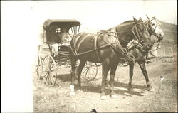 Family in Horse-Drawn Carriage Postcard