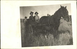 Horse pulling cart of people through field Postcard