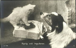 Dignity And Impudence Postcard