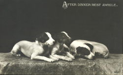 After Dinner Rest Awhile Dogs Postcard Postcard