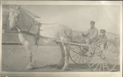 Men in cart pulled by hourse Postcard