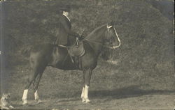 Woman riding a horse sidesaddle Horses Postcard Postcard