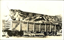 Grasshopper Fresh air pullman Exaggeration Postcard Postcard