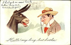 Hello! My Long Lost Brother Donkeys Postcard Postcard