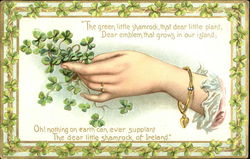 Woman's hand holding Irish shamrocks Postcard