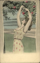 Woman Picking Apples Postcard