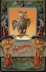 The watchful old owl Halloween Postcard Postcard