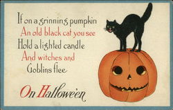 Grinning Pumpkin and Old Black Cat Postcard