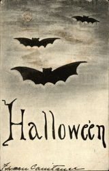 Halloween Bats Postcard Postcard