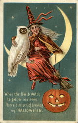 When the Owl & Witch to gether are seen Halloween Postcard Postcard