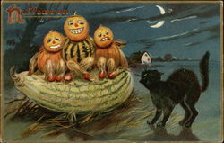 Halloween: Pumpkins and black Cat Postcard