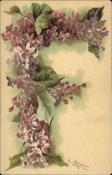 Floral Letter "F" Postcard