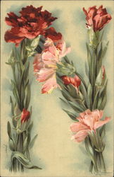 Floral Letter "N" Postcard