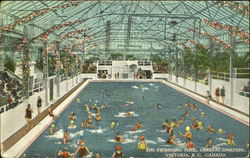 The Swimming Pool, Crystal Gardens Postcard