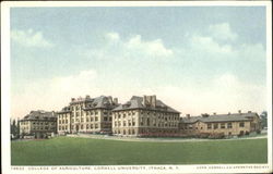 College Of Agriculture, Cornell University Postcard