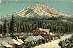 View Of Mt. Shasta Postcard