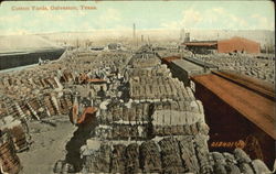 Cotton Yards Postcard