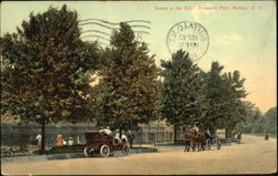 Scene At The Zoo, Delaware Park Postcard