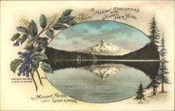 A Merry Christmas And Happy New Year Oregon Postcard Postcard