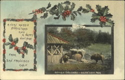 Buffalo Enclosure Golden Gate Park Postcard